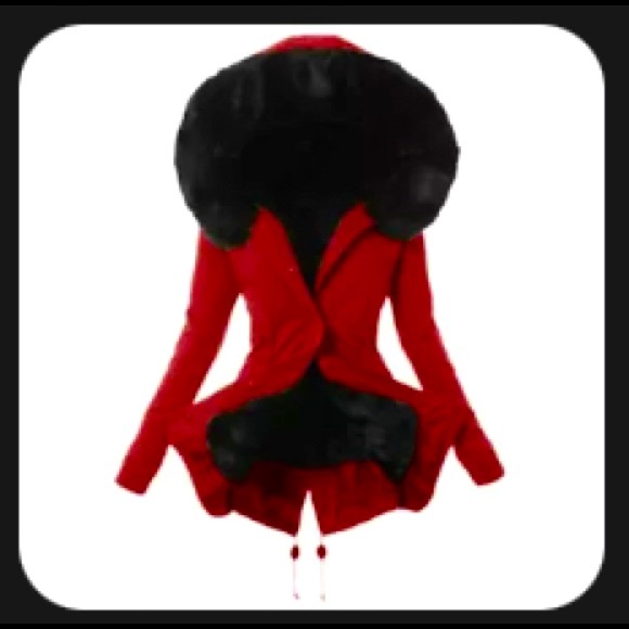 Fur Lined Coat - Picture 1 of 3